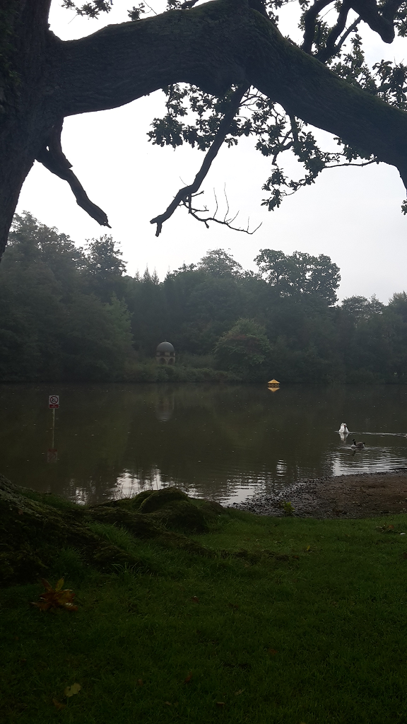 Benbow pond 26 Sept 17.png  by Mo