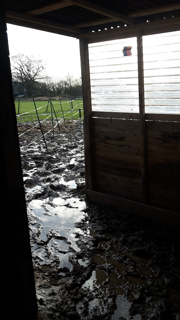 Bob and shabba's field shelter Mud Mud Mud. 5 Jan 2018 resized.png  by Mo