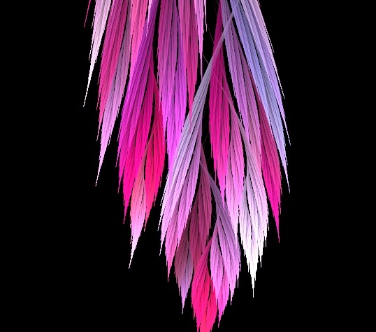 feathers.jpg  by mackenzieh