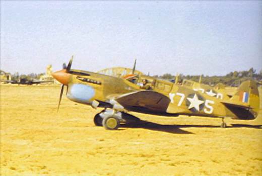 P-40F Warhawk 5.jpg - 