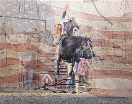 bronc and flag.jpg by Fred Haskell Photography