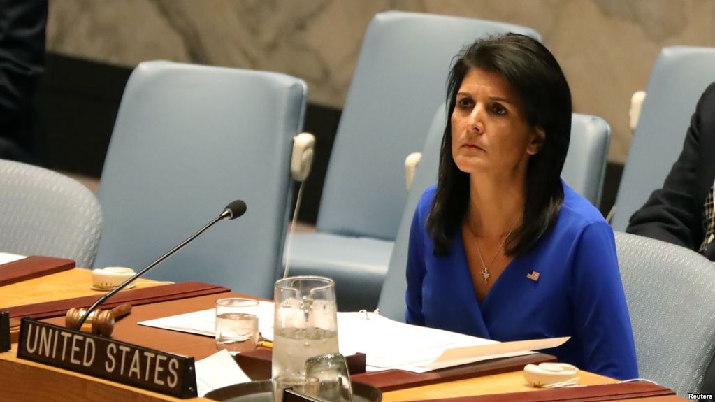 91E4FC95-DF85-49F3-8E71-6CEBAAF8CAAC_cx0_cy3_cw0_w1023_r1_s.jpg  by mohsen dehbashi