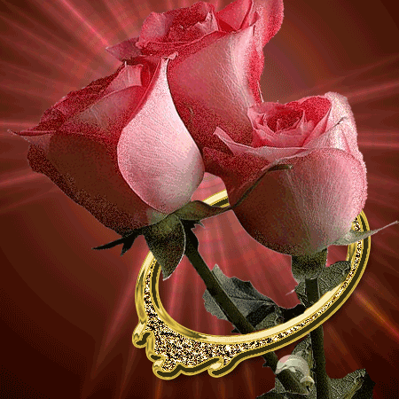 گل عشق  by mohsen dehbashi
