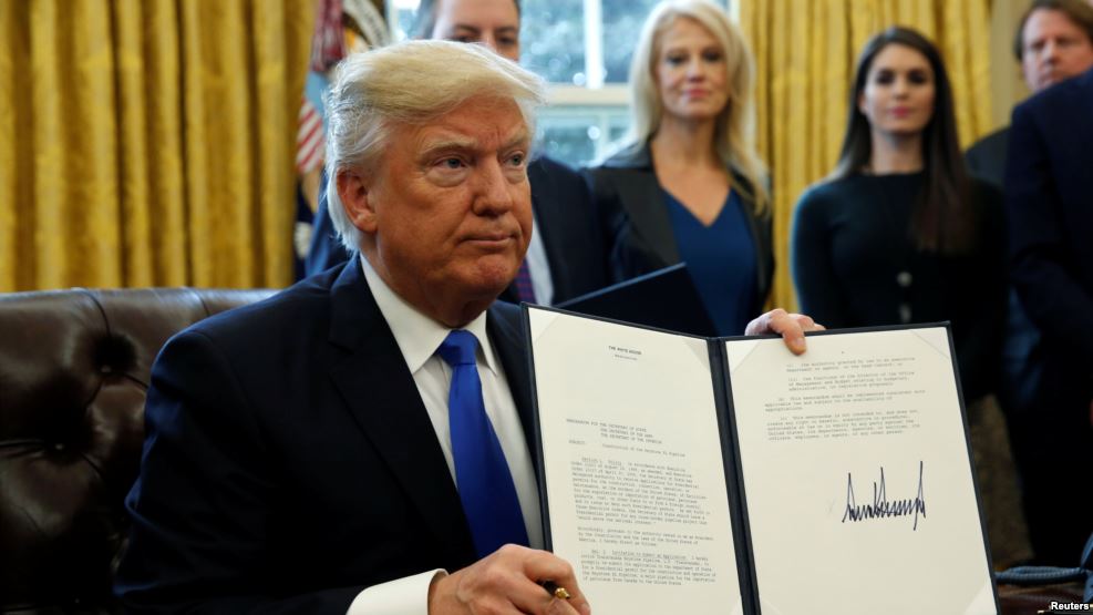 339E6B81-984A-4B03-9391-5855B779E0BC_cx0_cy1_cw0_w987_r1_s_r1.jpg  by mohsen dehbashi