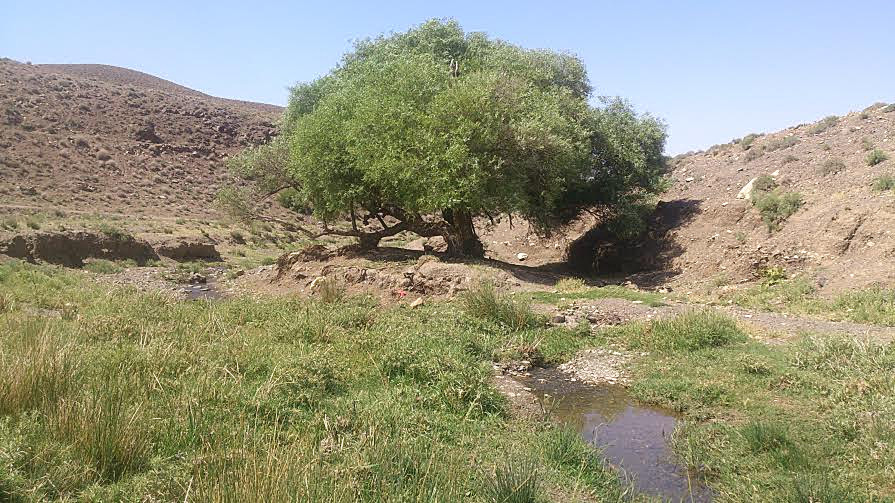 سیاه دره این عکس توسط ابوالفضل کنعانی گرفته وبه تاریخ 94/07/27 فرستاده شده by mohsen dehbashi