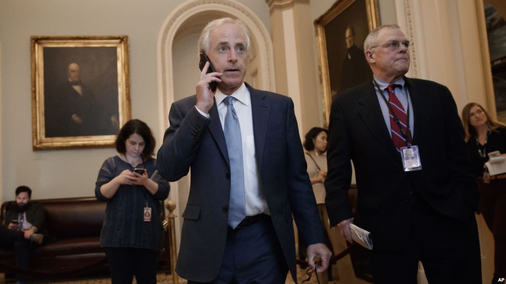 236E187E-1478-4B8D-9DA0-57802265A91A_cx0_cy4_cw0_w1023_r1_s.jpg  by mohsen dehbashi