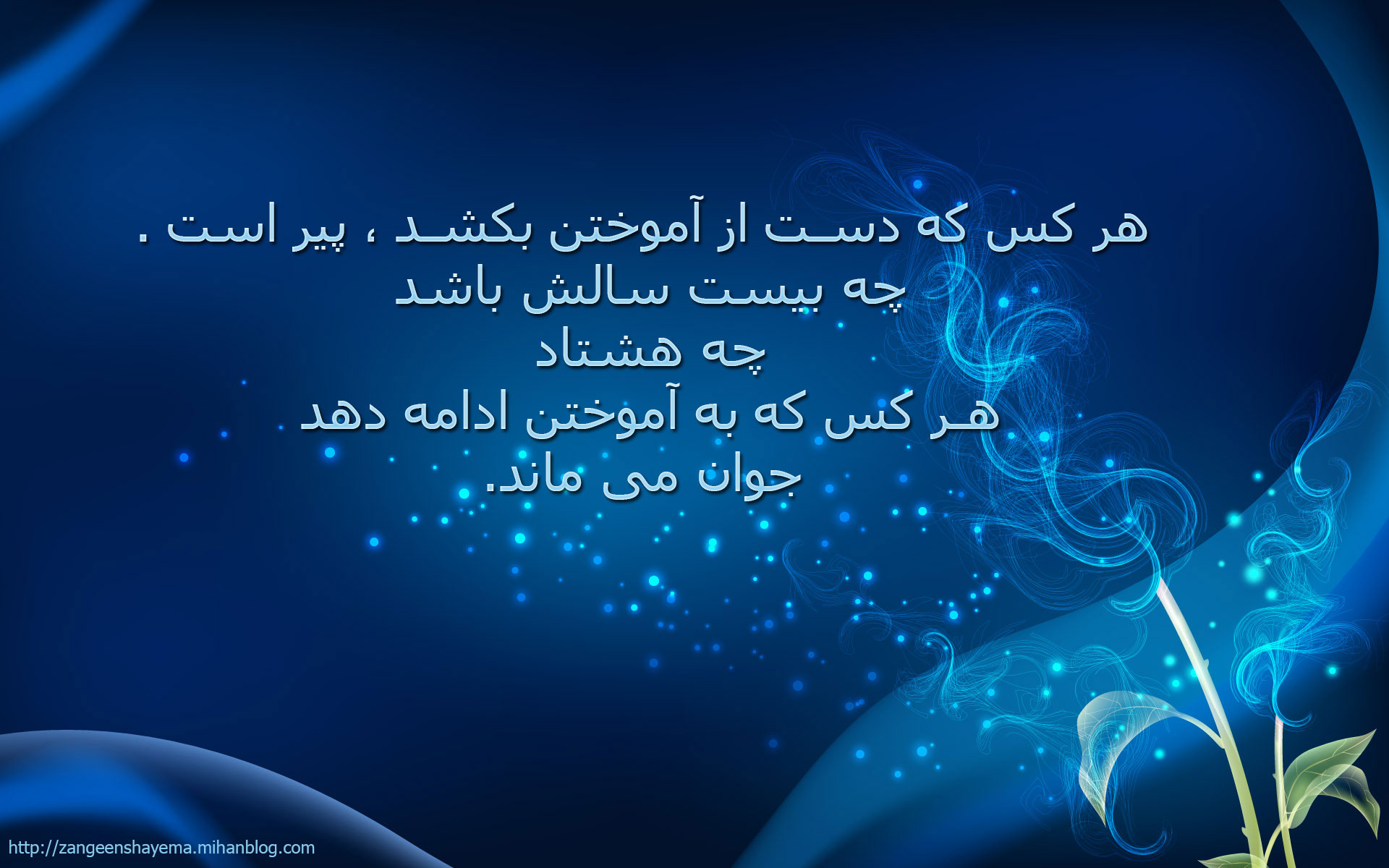 po5.jpg  by mohsen dehbashi