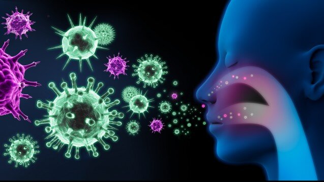 61466941.jpg کروناویروس‌ها خانواده بزرگی از ویروس‌ها هستند که می‌توانند باعث بروز بیماری‌هایی از سرماخوردگی معمولی تا عفونت‌‌های جدی‌تر ریوی مانند مانند برونشیت، ذات‌الریه یا سندروم حاد تنفسی شدید یا همان بیماری سارز شوند. by mohsen dehbashi