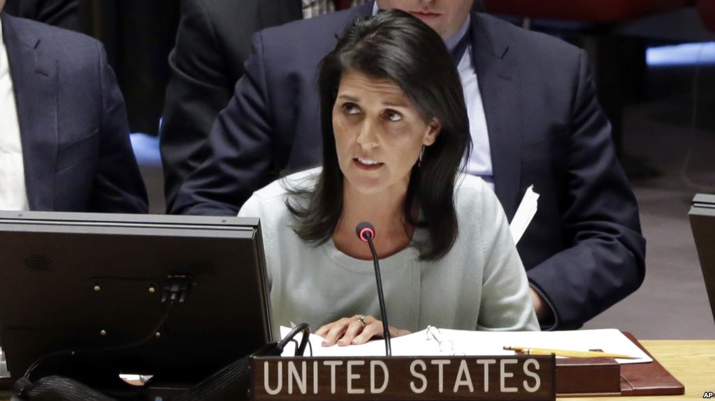 945AAE1F-6B24-4C31-8134-82616822F6F6_cx0_cy2_cw0_w1023_r1_s.jpg  by mohsen dehbashi