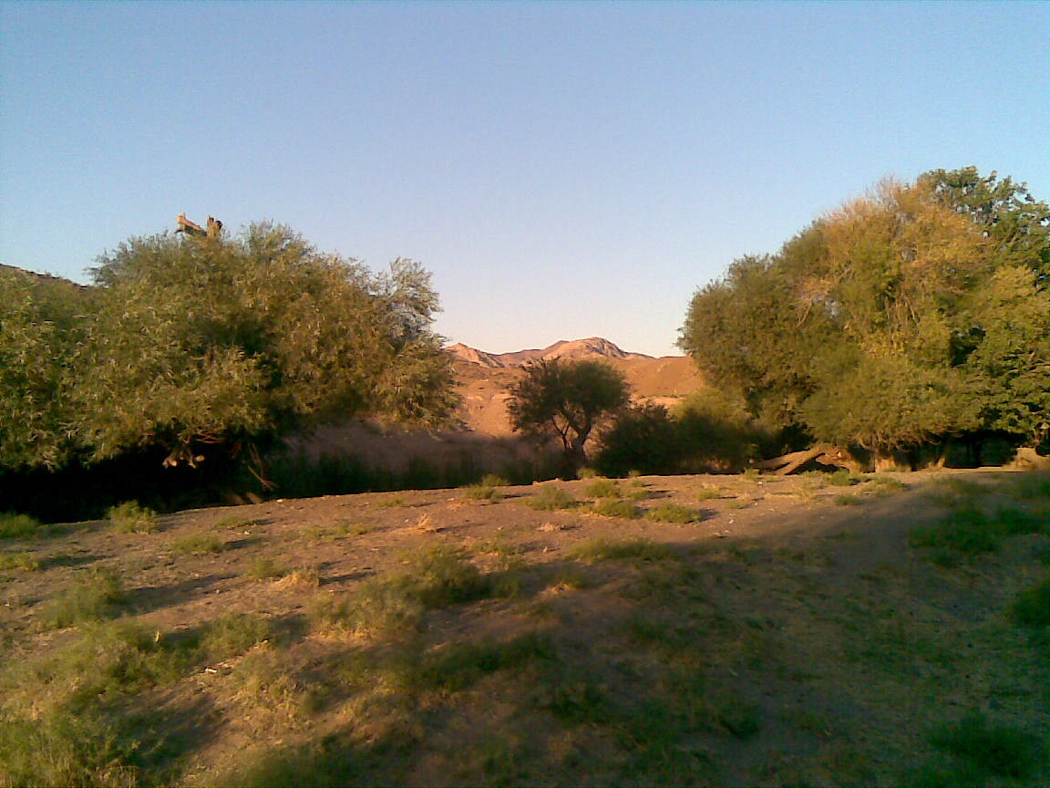 اول کوهسنگ این عکس توسط محمدامین معدل درتاریخ 1394/05/27 گرفته شده by mohsen dehbashi