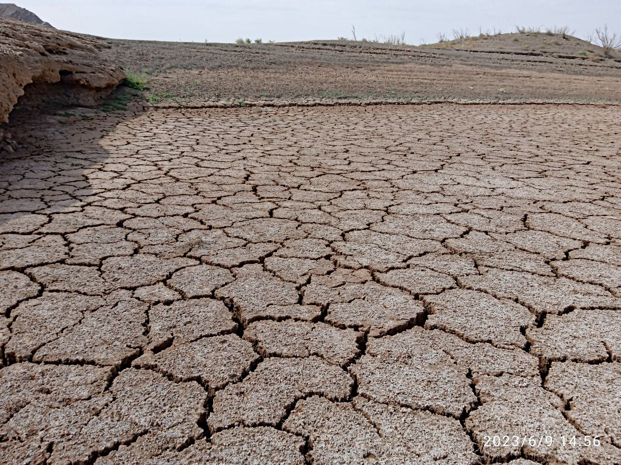 photo_۲۰۲۳-۰۶-۱۰_۰۳-۱۶-۵۰.jpg تصویری  تلخ از خشک شدن سدشهید یعقوبی 
درضلع شمال غربی سنگان بعلت خشکسالی سال 1402
جمعه 1402/3/19 by mohsen dehbashi