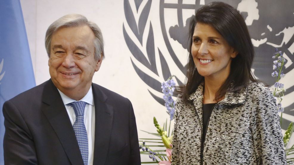 4D0A3D6C-B282-4990-8876-D71B2575ABC3_w987_r1_s.jpg  by mohsen dehbashi