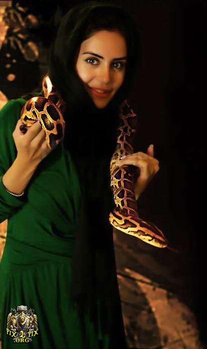 016.jpg  by mohsen dehbashi