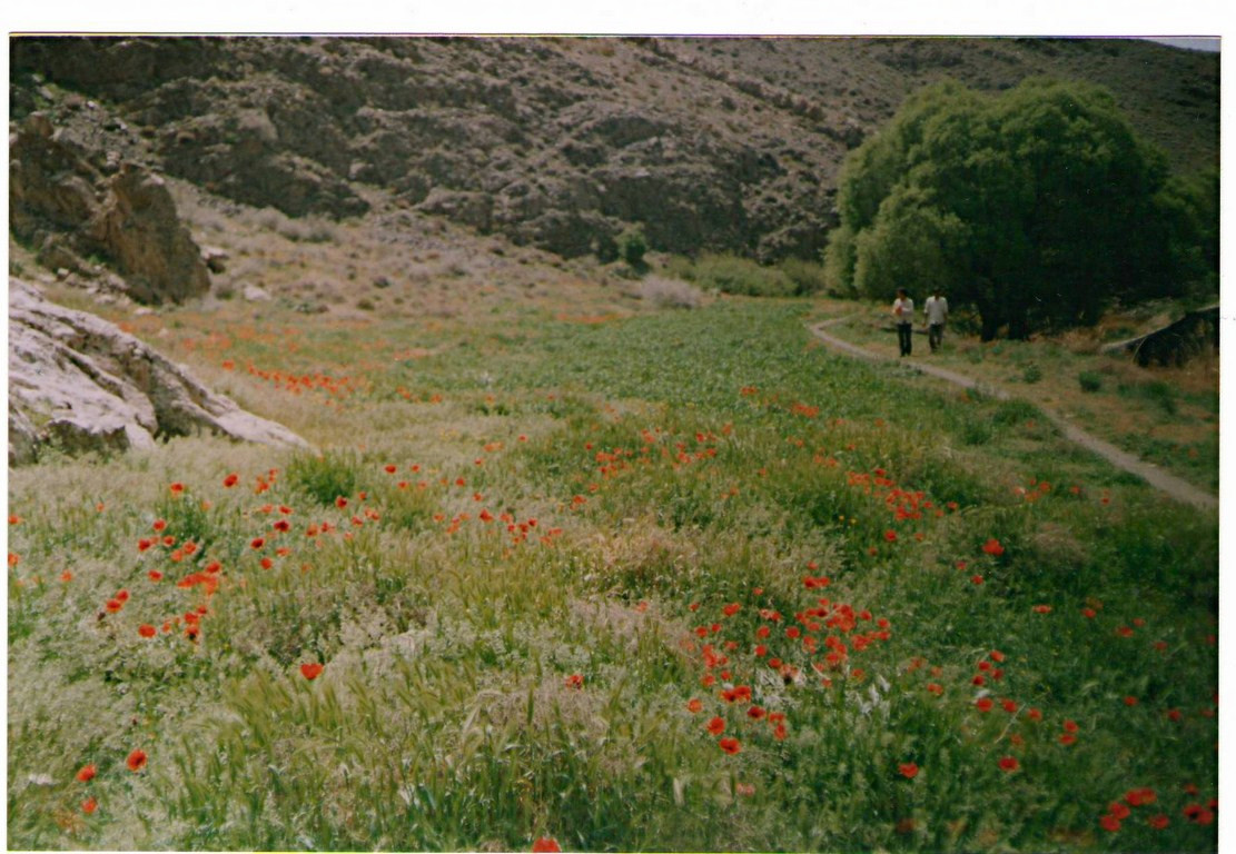 سیاه دره دهانه ورودی به سیاه دره by mohsen dehbashi