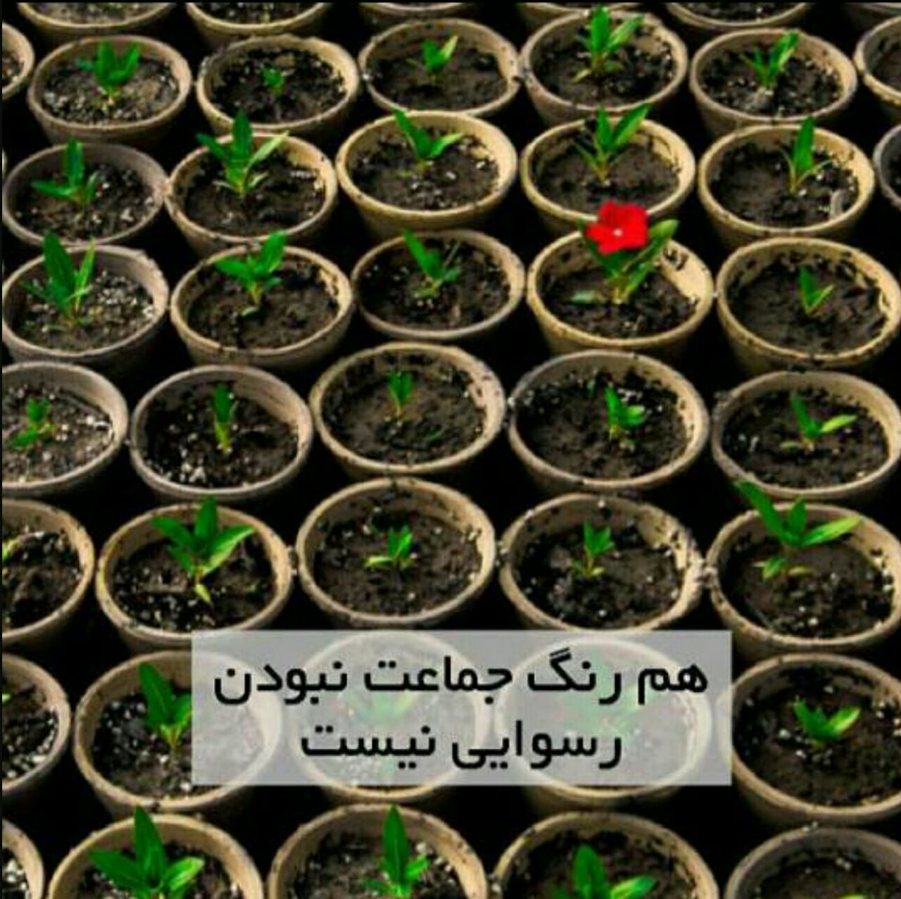 photo_2022-11-11_19-51-34.jpg تعریف من از "جامعه آزاد" 
جایی است که
اگر کسی نخواهد 
همرنگ جماعت شود
در "امنیت" باشد...
 #آدلای_استیونسون by mohsen dehbashi