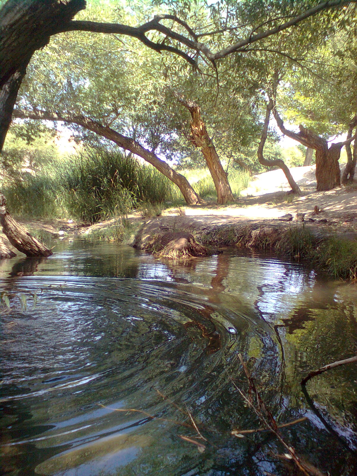 کوه سنگ شمال غربی سنگان بالا by mohsen dehbashi
