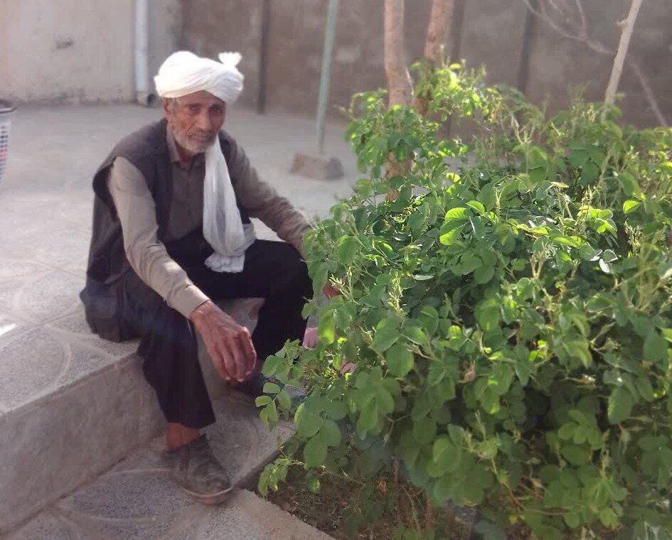 5165520.jpg  by mohsen dehbashi