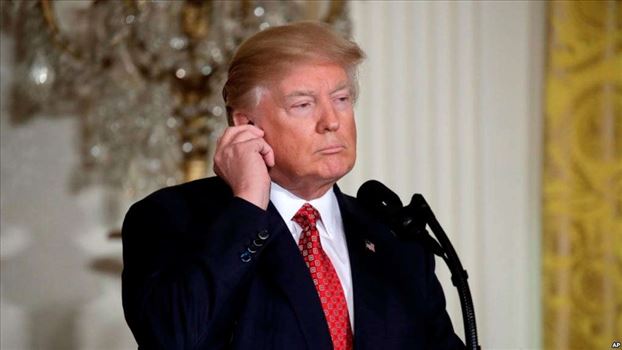 9AD28619-3B42-42C9-B706-0EF3B221CCD6_w1023_r1_s.jpg - 