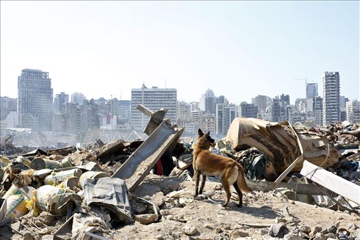 APTOPIX Lebanon Explosion by mohsen dehbashi