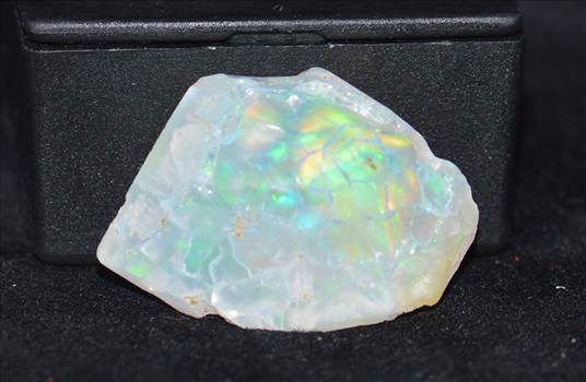 raw and cabbed opals