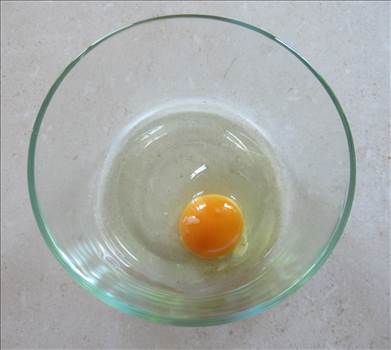 Egg 2.jpg by Pinback