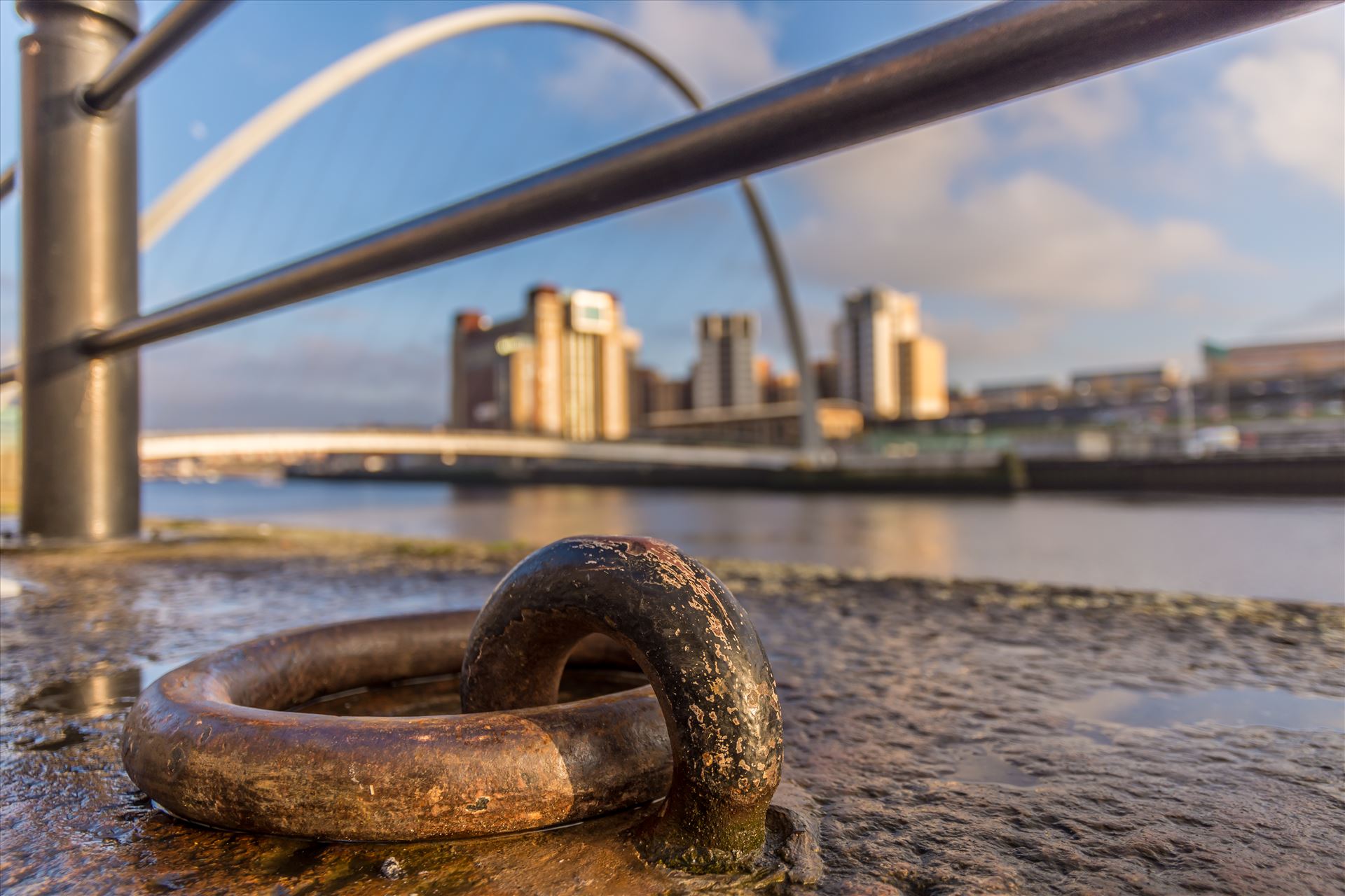 On the banks of the Tyne  by philreay