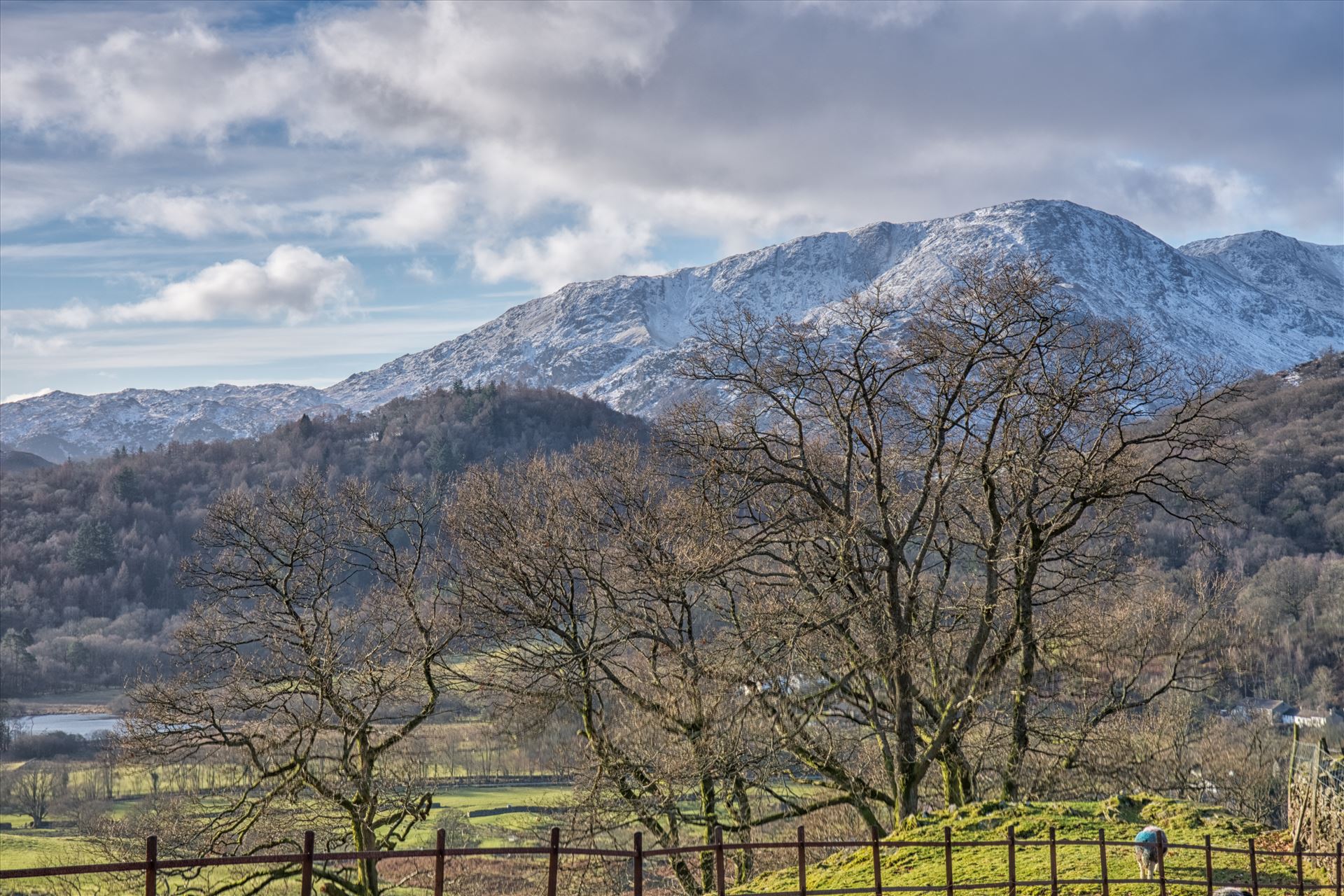 Snowy mountains A snowy landscape shot taken in the Lake District. by philreay