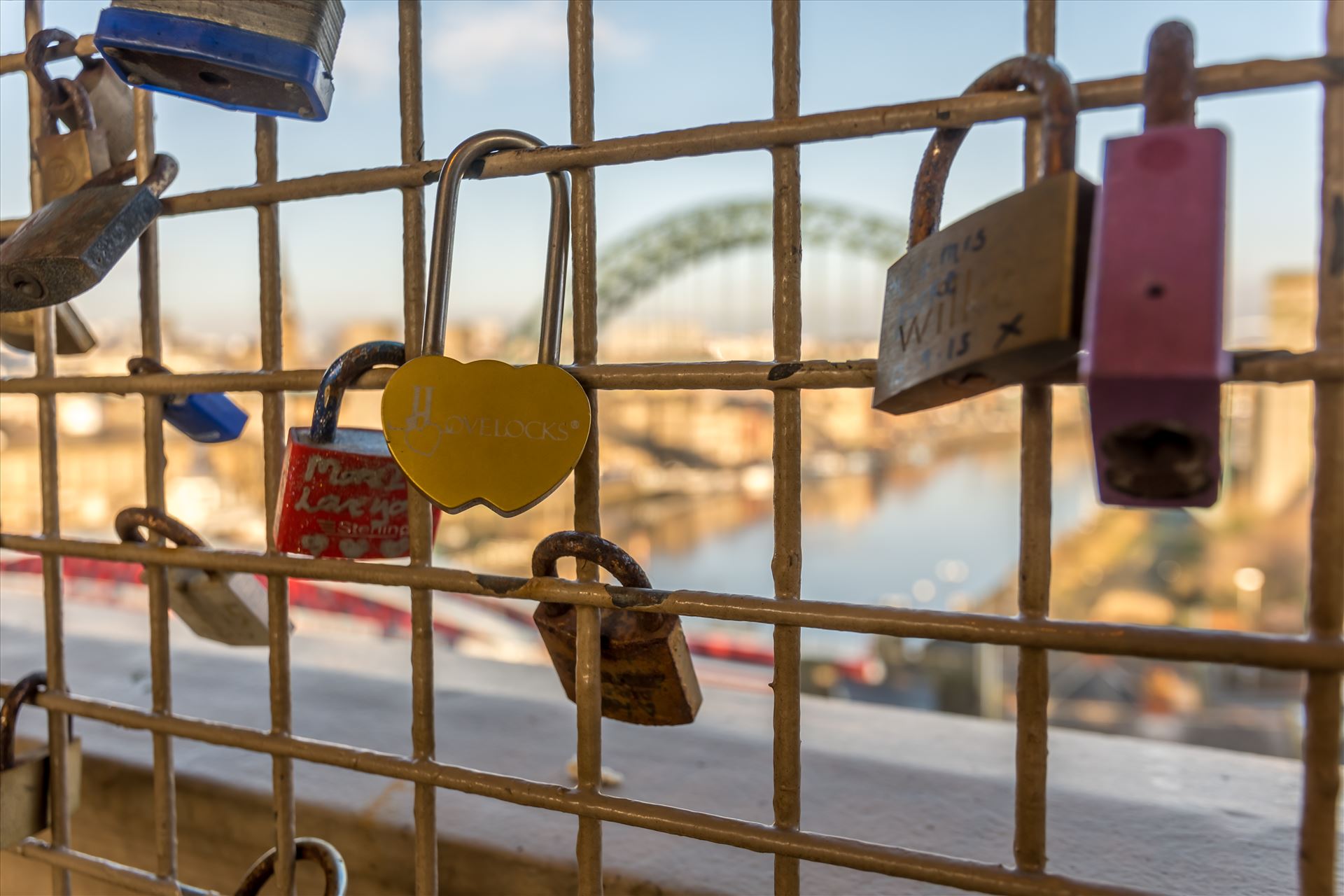Love locks Love locks on the High Level bridge by philreay