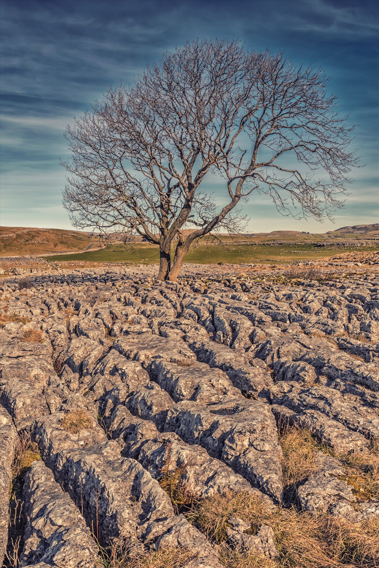 The Lone Tree nr Malham (also available in B&W) Known as "limestone pavements", these plateaus of bare and weathered rock often being found at the top of the limestone cliff running along the hillsides. These were originally formed by the scouring action of glaciers during the last ice age. by philreay