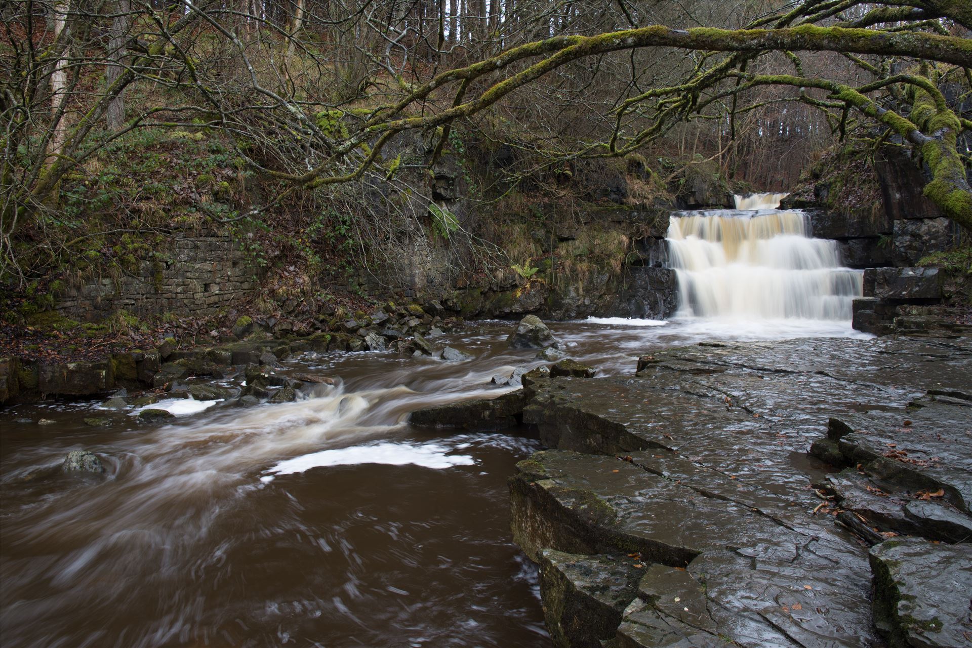 Summerhill Force Summerhill Force is a picturesque waterfall in a wooded glade near Bowlees in Upper Teesdale. by philreay