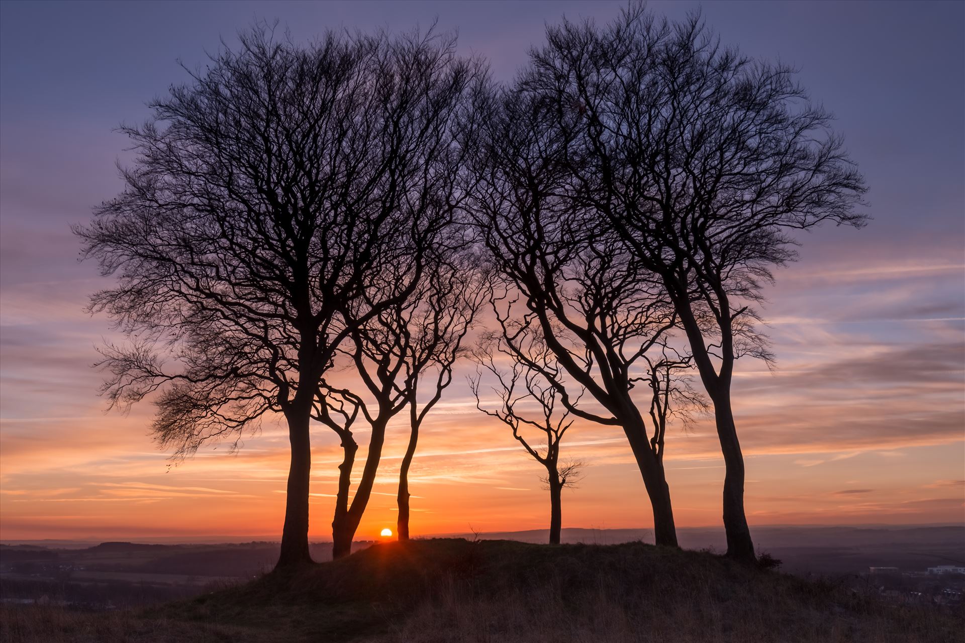 Sunset at Copt Hill Copt Hill is an ancient burial ground near Houghton-le-Spring. The site is marked by six trees. Presumably there used to be a seventh tree, as they are known as the Seven Sisters. by philreay