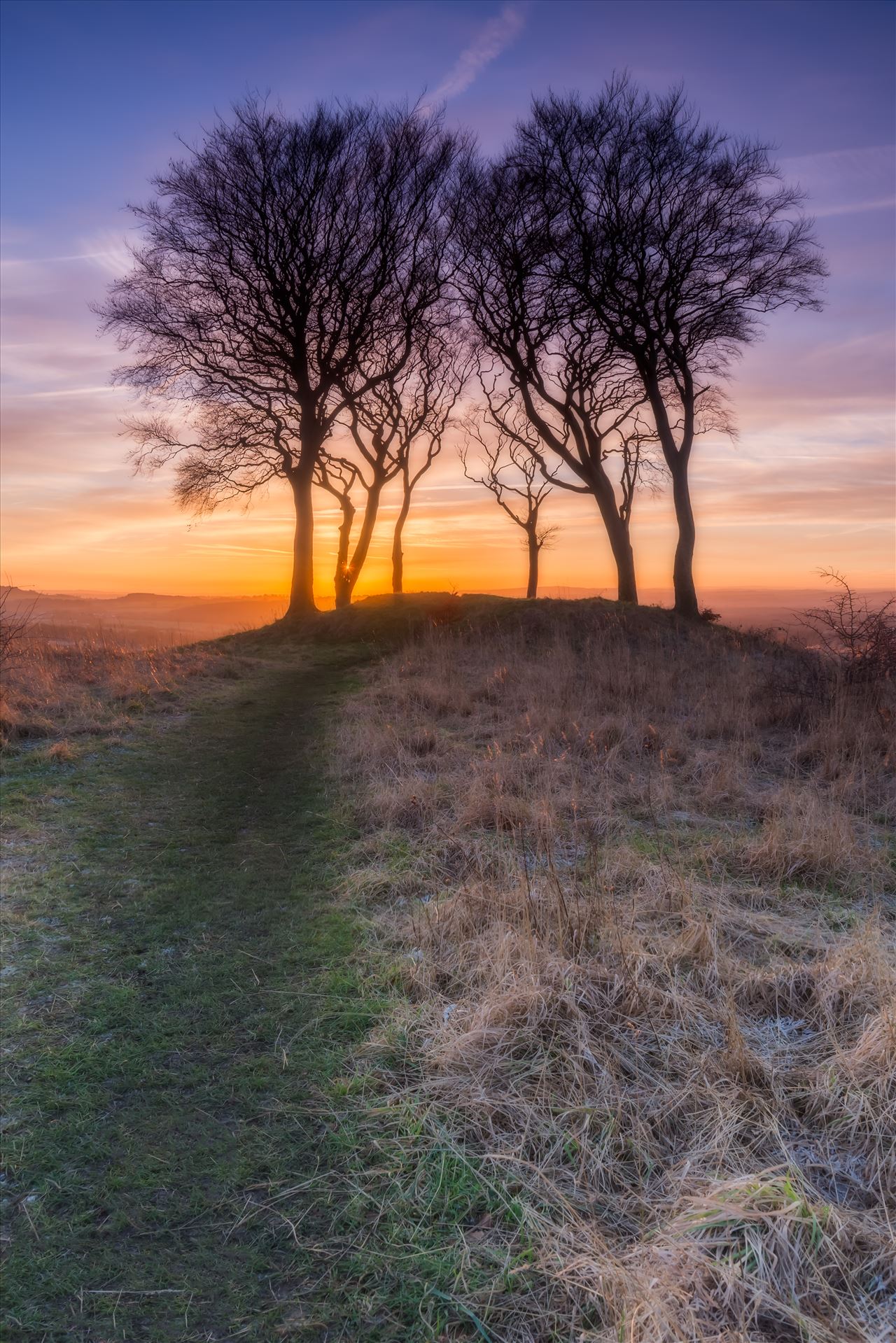 Sunset at Copt Hill - Orton edit Copt Hill is an ancient burial ground near Houghton-le-Spring. The site is marked by six trees. Presumably there used to be a seventh tree, as they are known as the Seven Sisters. by philreay