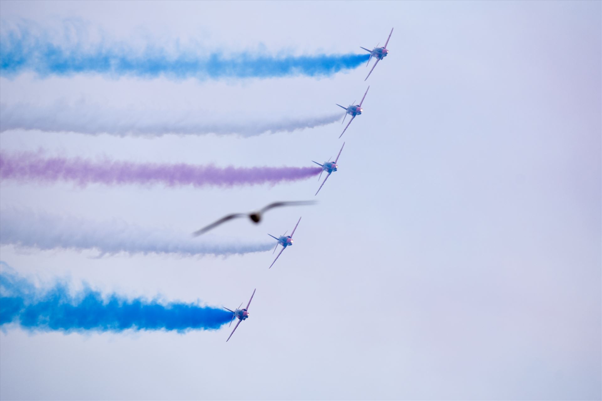 Red Arrows The Red Arrows taken at the Sunderland air show 2016 by philreay