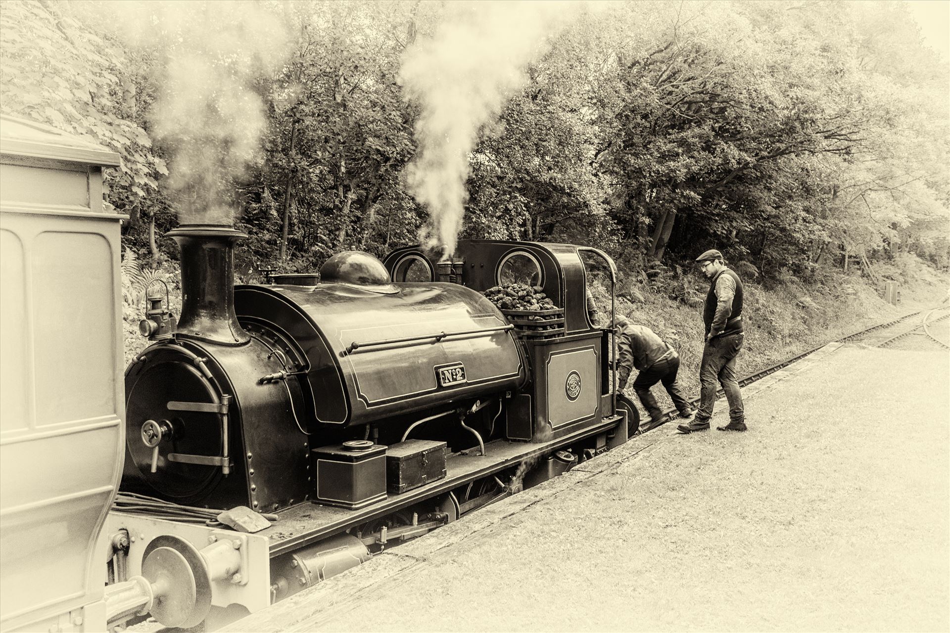 Steam train at Tanfield railway  by philreay