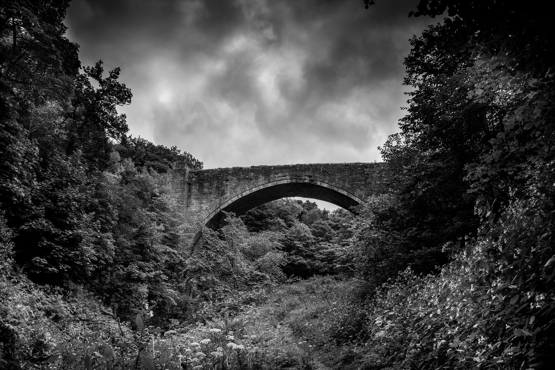 Causey Arch The Causey Arch is a bridge near Stanley in County Durham. It is the oldest surviving single-arch railway bridge in the world. When the bridge was completed in 1726, it was the longest single-span bridge in the country. by philreay