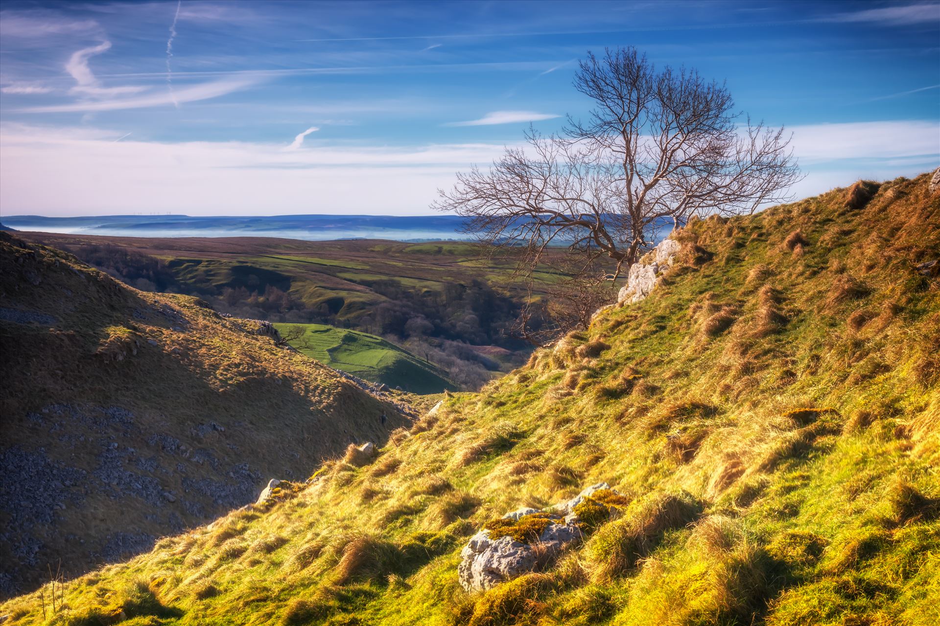 High above the valley This lone tree sits high above the village of Malham in the Yorkshire Dales. by philreay