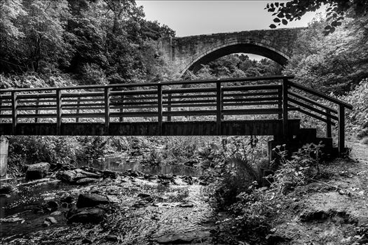 Causey Arch - The Causey Arch is a bridge near Stanley in County Durham. It is the oldest surviving single-arch railway bridge in the world. When the bridge was completed in 1726, it was the longest single-span bridge in the country.