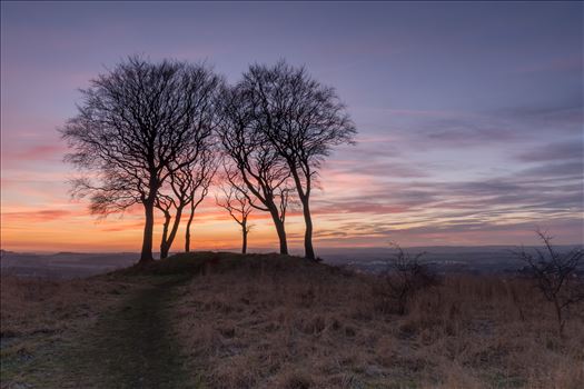 Sunset at Copt Hill - Copt Hill is an ancient burial ground near Houghton-le-Spring. The site is marked by six trees. Presumably there used to be a seventh tree, as they are known as the Seven Sisters.