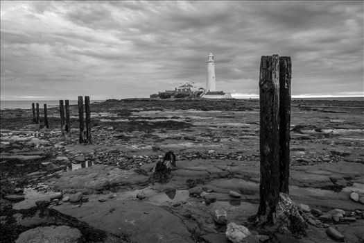 St Mary`s Island & lighthouse by philreay