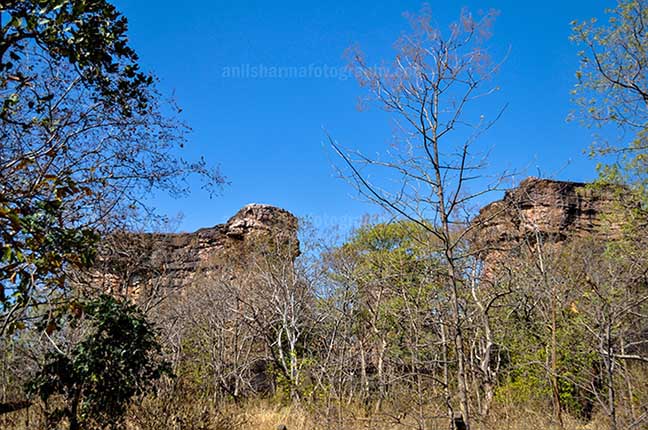 Archaeology- Bhimbetka Rock Shelters Raisen, Madhya Pradesh, India. (Photo: Anil Sharma) Entrance to the Bhimbetka archaeological site in Ratapani Sanctuary of Raisen District of Madhya Pradesh, India. by Anil