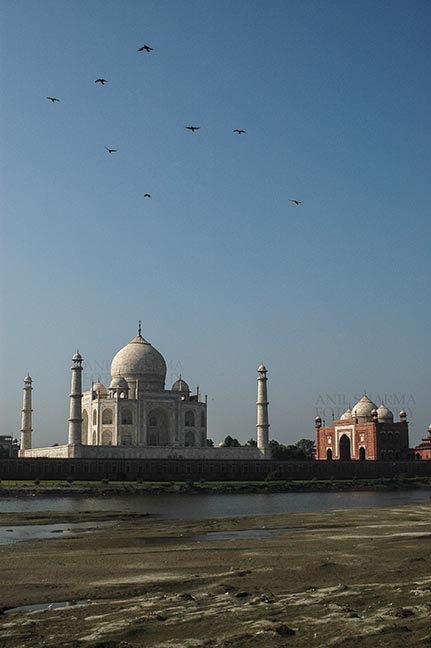 Monuments- Taj Mahal, Agra, Uttar Pradesh, India. (Photo: Atul Sharma) Back side view of Taj Mahal, with blue sky and river yamuna flowing at Agra, Uttar Pradesh, India. by Anil