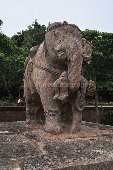 Monuments- Sun Temple Konark, Orissa, India. (Photo: Atul Sharma) Richly carved stone sculpture of an elephant holding his wounded master with his trunk at Konark Sun Temple near Bhubaneswar, Orissa, India. by Anil