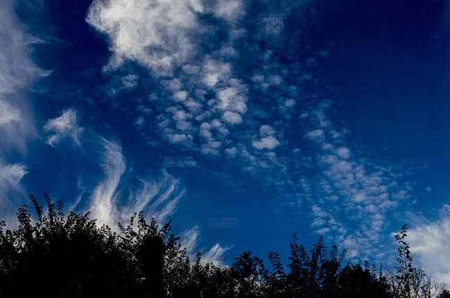 Clouds- Sky with Clouds (Lansdowne) Clouds over Lansdowne, Uttarakhand, India- November 24, 2016: Dark blue sky with white clouds performing dance early in the morning over Lansdowne, Uttarakhand, India. by Anil