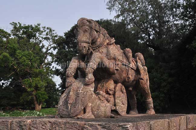 Monuments- Sun Temple Konark (Orissa) Richly carved sculpture of a War Horse protecting his master in battle field at Konark Sun Temple near Bhubaneswar, Orissa, India by Anil