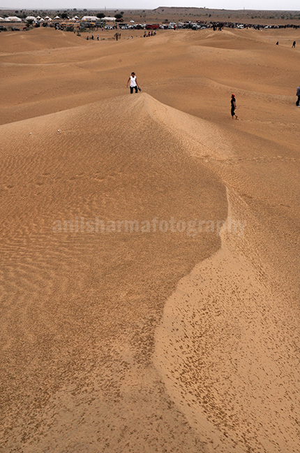 Festivals- Jaisalmer Desert Festival, Rajasthan Tourists enjoy walking on the golden sand dunes in jaisalmer, Rajasthan. by Anil