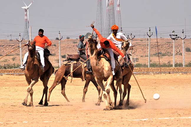 Festivals- Jaisalmer Desert Festival, Rajasthan Camel polo match at Jaisalmer desert festival. by Anil