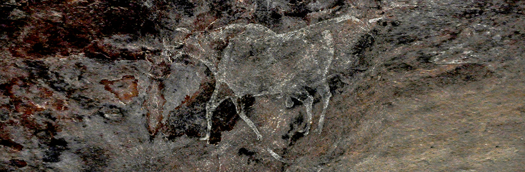 Indian Archaeology- Bhimbetka Rock Shelters Prehistoric Rock Painting showing running bull in white color at Bhimbetka archaeological site by Anil