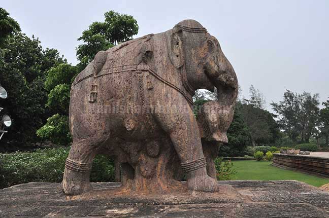 Monuments- Sun Temple Konark (Orissa) Richly carved stone sculpture of an elephant holding his wounded master with his trunk at Konark Sun Templenear Bhubaneswar, Orissa, India. by Anil