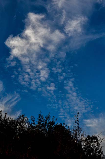 Clouds- Sky with Clouds (Lansdowne) Clouds over Lansdowne, Uttarakhand, India- November 24, 2016: Dark blue sky with white clouds performing dance early in the morning over Lansdowne, Uttarakhand, India. by Anil