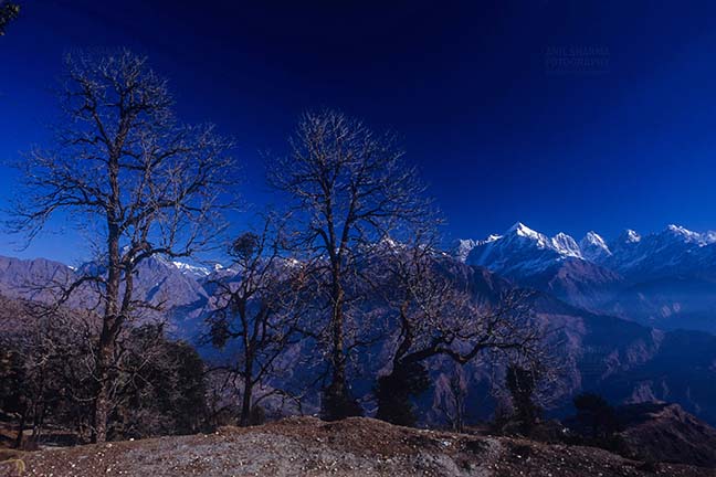 Mountains- Panchuchuli Peaks (India) Panoramic view of Panchchuli Peaks from Munsyari at Uttarakhand, India. by Anil